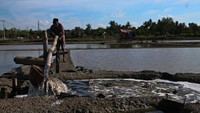 Seorang petani garam sedang memompa air pada tambak garam