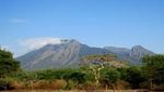 Bertualang Ala Afrika di Taman Nasional Baluran