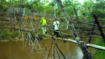 Bidadari Turun di Suroba