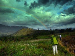 Bidadari Turun di Suroba