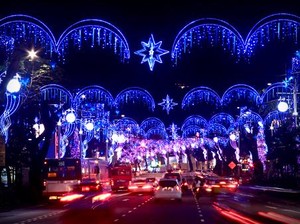 Blooms in Singapore, Natal dengan Pesta Lampu