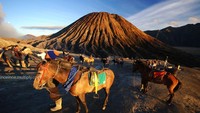 Parkiran kuda sewaan di bawah tangga kawah Bromo