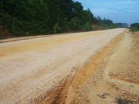 Bukan Berselancar Biasa di Gelombang Bono, Sungai Kampar