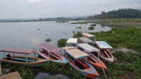 Kapal yang di sewakan di Rawa Pening