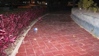 Masih terlihat sampah