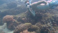 Free Dive, menyelam tanpa menggunakan tabung