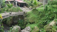 Suasana Perjalanan Menuju Candi Gunung Kawi (blog.travelpod.com)