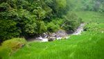 Curug Sanghyang Taraje