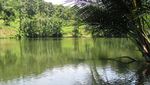 Dangdang Ageung dan Jembatan Akar: Mari Jalan Kaki!