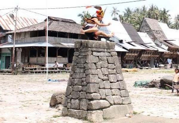 Di Nias  Tidak Boleh  Nikah Kalau Belum Bisa Lompat  Batu 