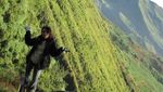 Dingin Ala Eropa di Dataran Tinggi Dieng