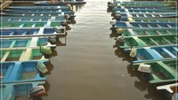 Deretan perahu bermotor di Sungai Kapuas