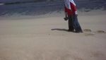 Eksotisme Pantai Nampu