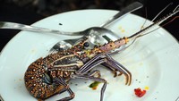 Mau mencoba udang ini?  (ACI/Ayos Purwoaji)