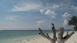 Eksotisme Pulau Adranan