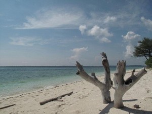 Eksotisme Pulau Adranan