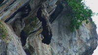 Batu ini menyerupai bentuk manusia dengan kepala menghadap kebawah