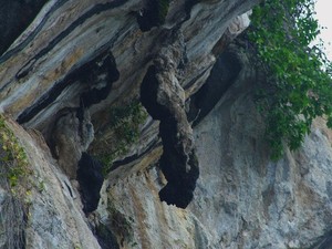 Fenomena Alam Batu Gantung