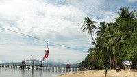 Flying fox