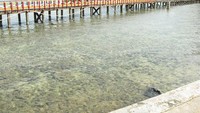 Jembatan kayu menuju Pulau Batu Kereta