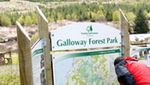 Gallow, Hutan Tergelap se-Dunia Memang Bikin Galau