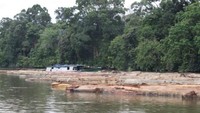 Kapal Pengiring Gelondongan Kayu