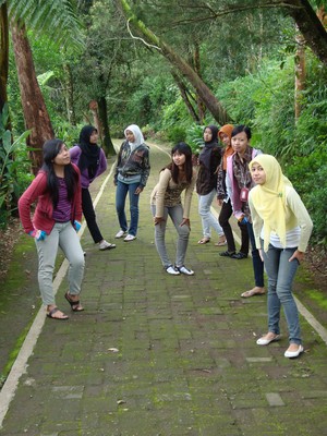 Goes to Dieng