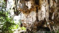 Gua Leang Burung