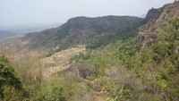 View from the top