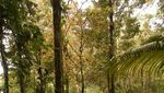 Gunung Tujuh dan Danaunya: Catatan dari Pendaki Gunung Pemula