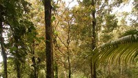 Mendaki gunung Tujuh