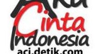 ACIDetikcom