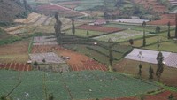 Jalan Menuju Dieng Plateau dengan Pesona Agro diseitarnya
