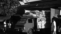 Truk pengangkut kopra masuk ke gudang