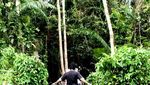 Hutan Lindung Sungai Wain: Menunggu Untuk Diselamatkan.