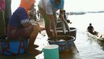 Ikan Bandeng Ekstra Besar di Pasar Ikan Sape