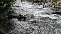 Sungai yang jernih