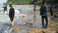 Pantai karang