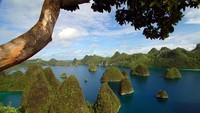 Raja Ampat (Regy Kurniawan/ACI)