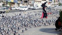 Burung merpati di Makkah (Sumber: Muhammad Nur Hayid/detikfoto)