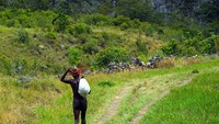 Seorang warga lokal berjalan menuju desanya di daerah Kurima, Wamena.