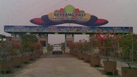 dok. detiktravel