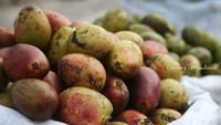 Buah Matoa