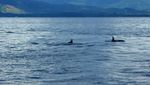 Jelajah Bunaken, Terpesona Siladen