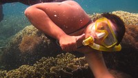 Keindahan bawah laut