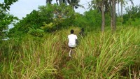 Jalan setapak menuju makam Panglima Hitam