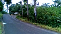foto007jpg