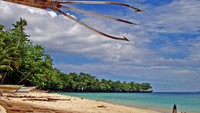 Kalawai bermata tiga. Di beberapa tempat kalawai ada yang bermata delapan