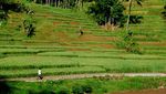Kampung Naga, Penjaga Budaya dan Alam Indonesia