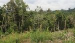 Kawasan Lindung Taman Raja
